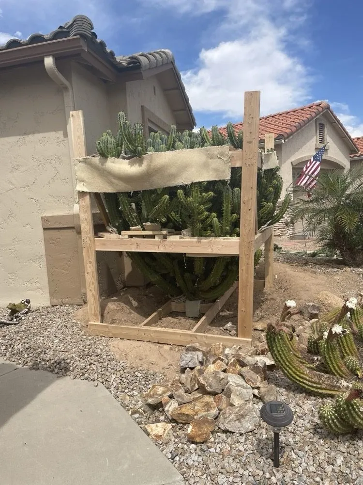 Trusted landscape installation for homes across Phoenix, AZ - Sell Your Cactus