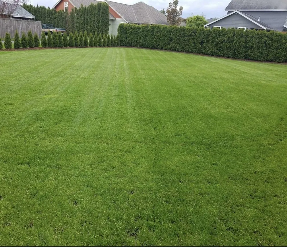 Top-rated garden landscaping in McCalla, AL by Sellers Lawn Care and More