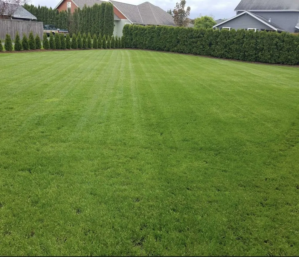 Top-rated residential landscaping experts serving McCalla, AL - Sellers Lawn Care and More