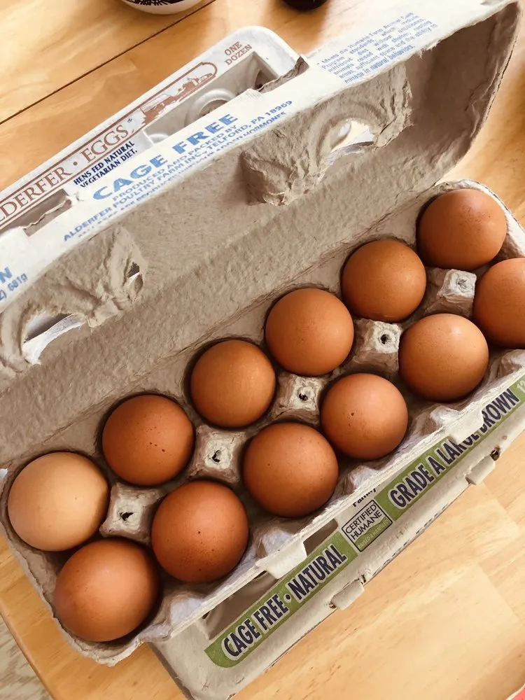 Top-rated yard cleanup service experts serving Lehighton, PA - Seltzer's Nursery and Farmstand