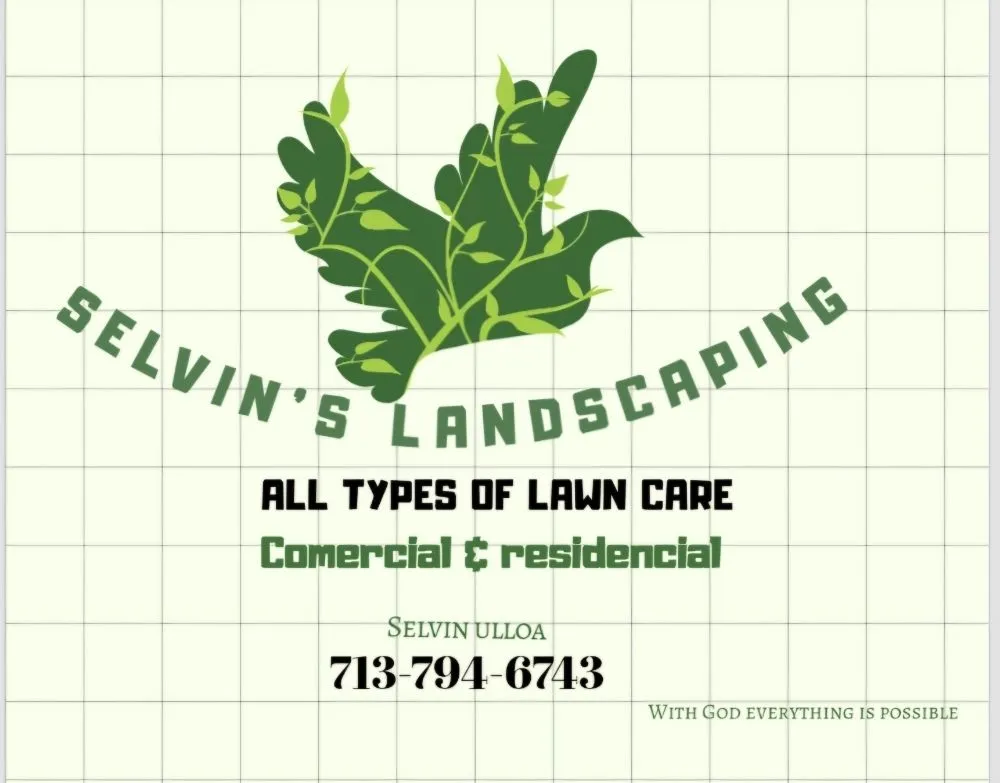 Top-rated landscape installation in Houston, TX by Selvin Landscaping