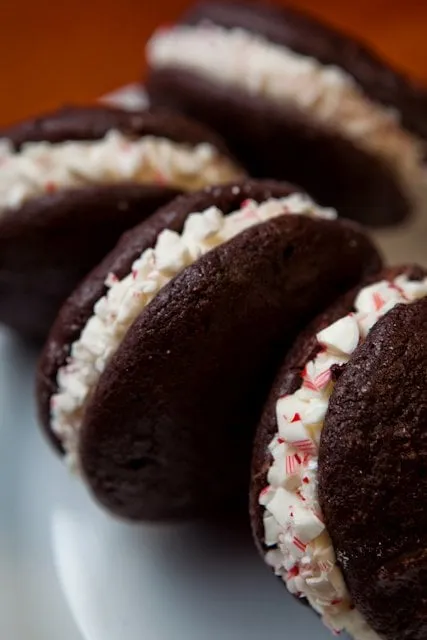 Expert garden landscaping experts serving Addison, IL - Selvin's Landscaping