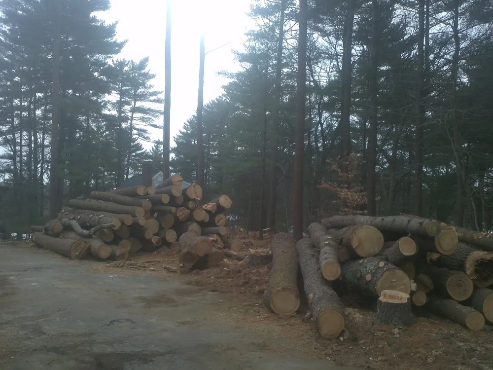 Top-rated outdoor landscaping experts serving East Freetown, MA - SeMass Tree Service