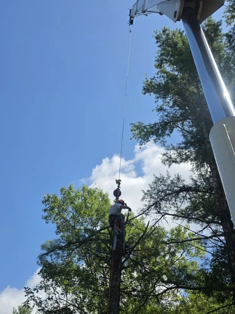 Custom landscaping services near you across East Freetown, MA - SeMass Tree Service