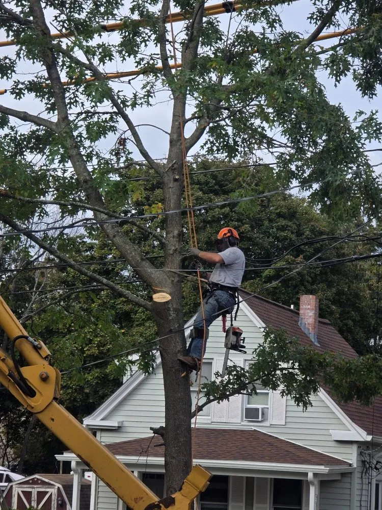 Expert landscape installation near you across East Freetown, MA - SeMass Tree Service