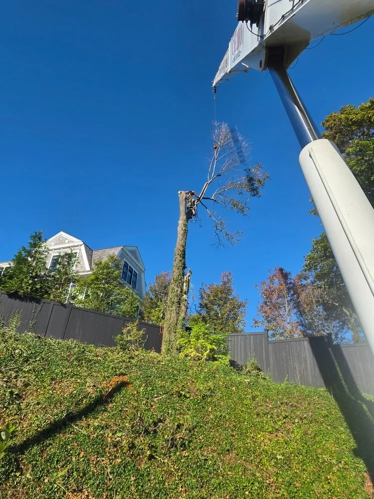 Reliable landscape design with custom design in East Freetown, MA by SeMass Tree Service