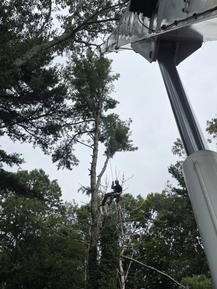 Affordable garden landscaping experts serving East Freetown, MA - SeMass Tree Service
