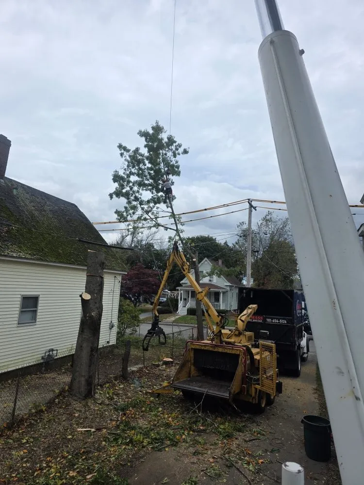 Expert yard maintenance for homes in East Freetown, MA by SeMass Tree Service