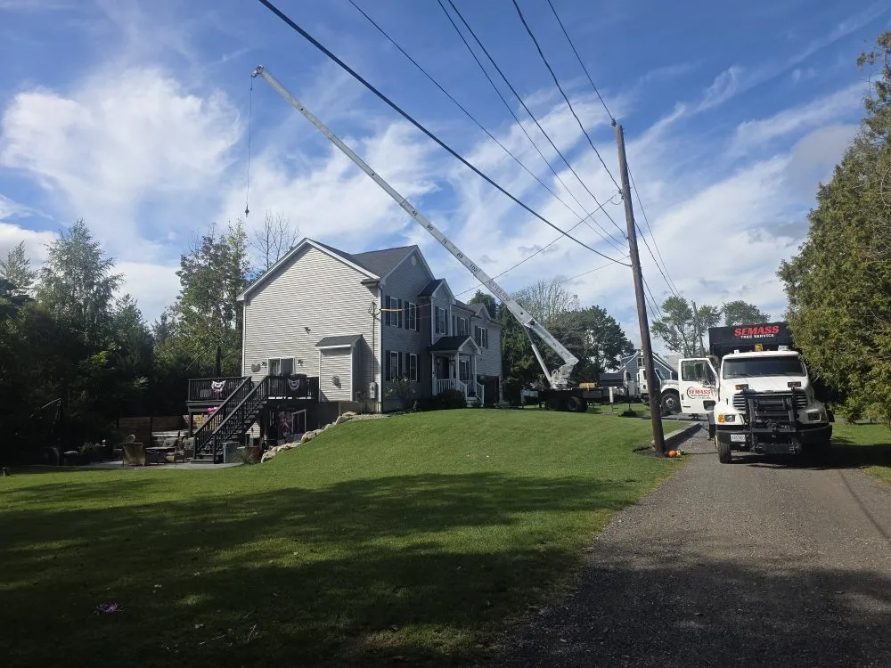 Reliable landscaping services experts serving East Freetown, MA - SeMass Tree Service