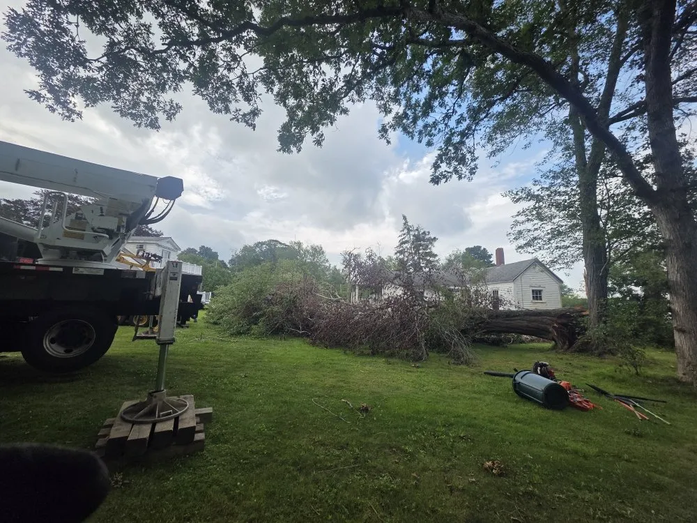 Top-rated landscape installation with custom design across East Freetown, MA - SeMass Tree Service