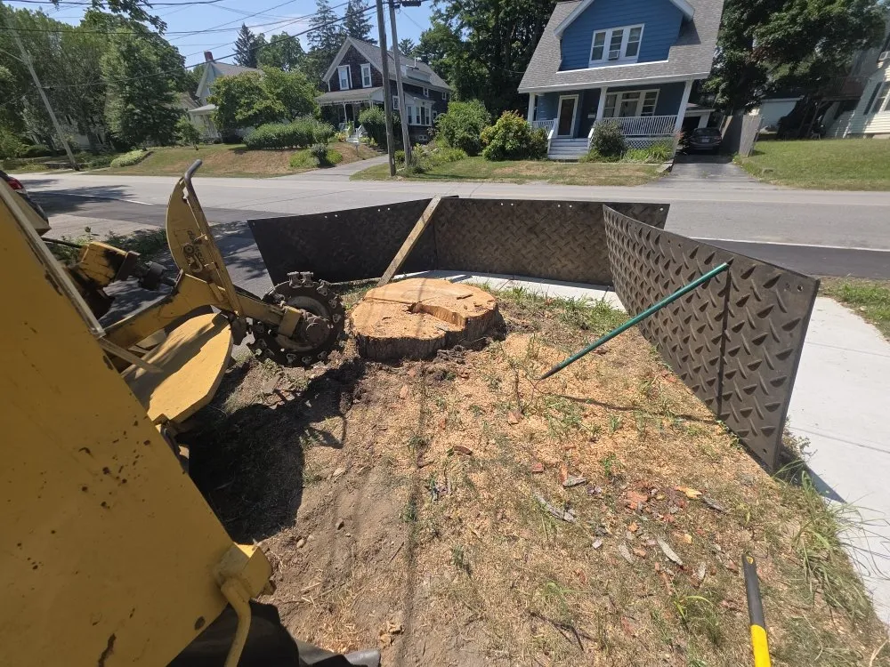 Top-rated outdoor landscaping in East Freetown, MA by SeMass Tree Service