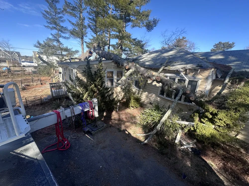 Affordable landscape design experts serving East Freetown, MA - SeMass Tree Service