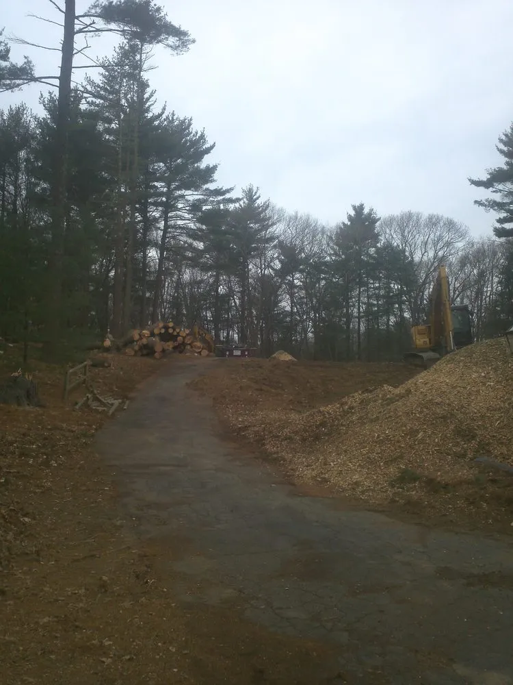Top-rated yard maintenance near you in East Freetown, MA by SeMass Tree Service