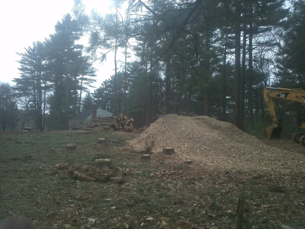 Reliable lawn care service experts serving East Freetown, MA - SeMass Tree Service
