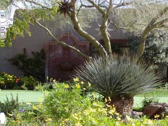 Top-rated landscape design for homes in Cave Creek, AZ by Semeruco Cleaning