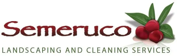 Top-rated yard cleanup service in Cave Creek, AZ by Semeruco Cleaning