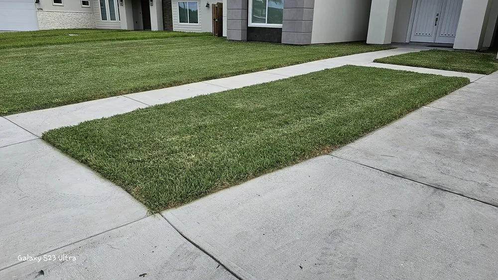 Local landscape design for beautiful yards across Brownsville, TX - Semilla de Luz Lawn Care