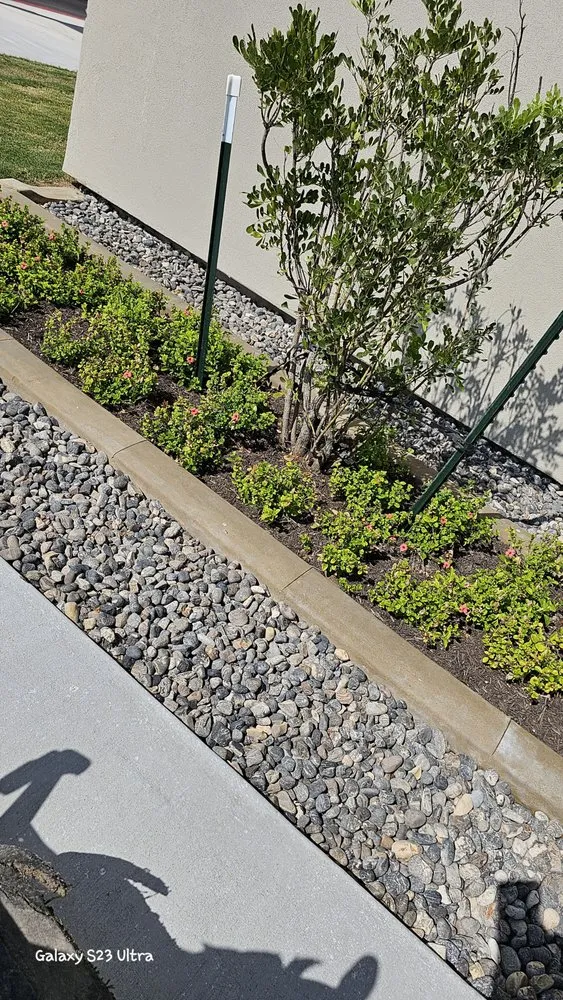 Top-rated yard cleanup service near you across Brownsville, TX - Semilla de Luz Lawn Care