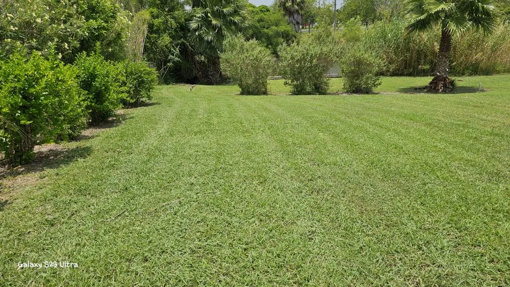 Trusted landscaping services experts serving Brownsville, TX - Semilla de Luz Lawn Care