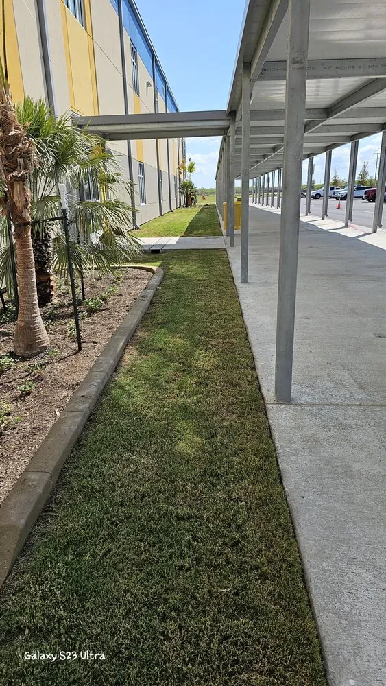 Professional yard cleanup service for beautiful yards across Brownsville, TX - Semilla de Luz Lawn Care