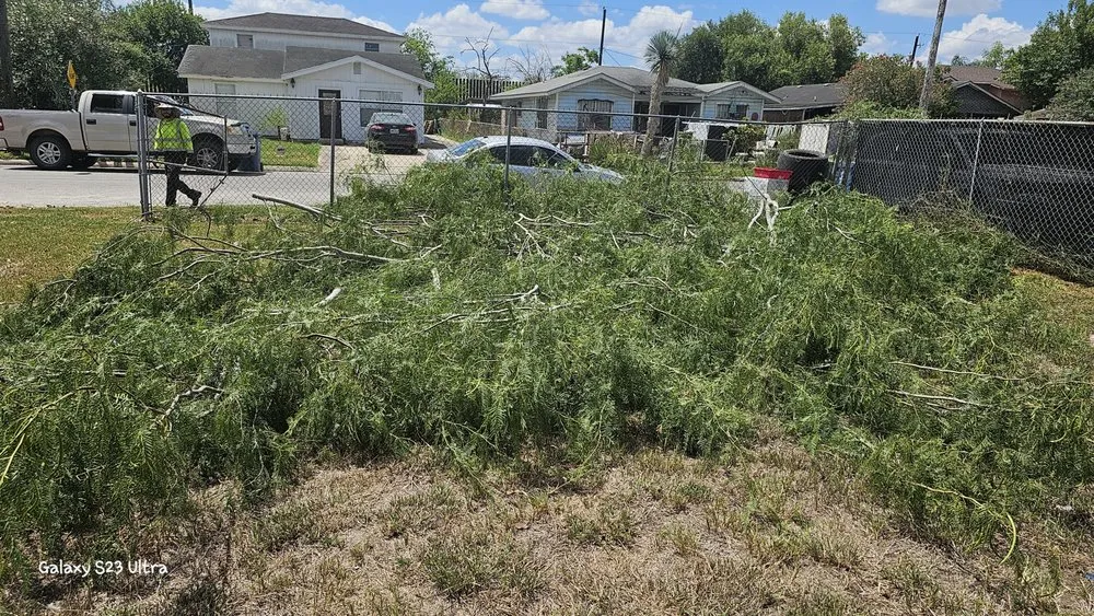 Professional residential landscaping in Brownsville, TX by Semilla de Luz Lawn Care