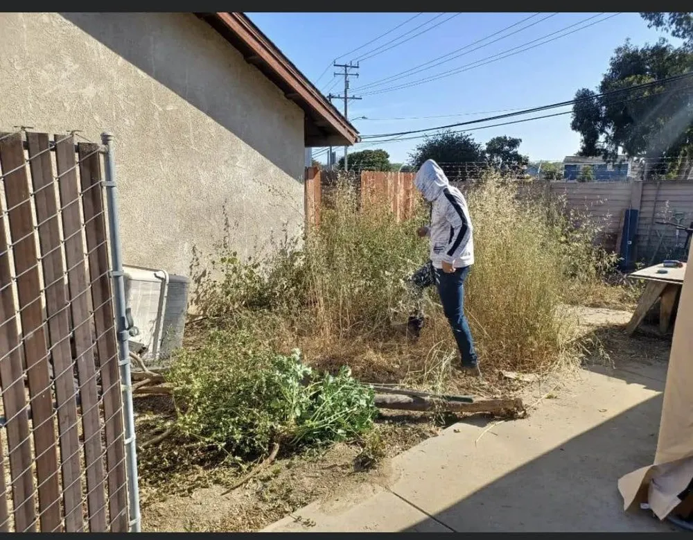 Custom landscaping services in Lompoc, CA - Seminole Services