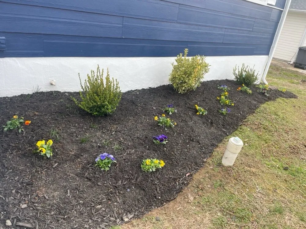 Trusted residential landscaping for year-round maintenance across Hyattsville, MD - SemoPro
