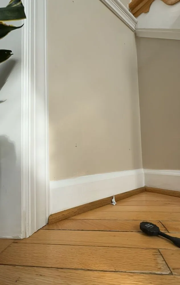 Top-rated landscaping services in Hyattsville, MD - SemoPro