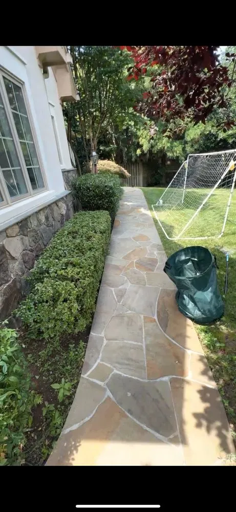 Local yard cleanup service experts serving Hyattsville, MD - SemoPro