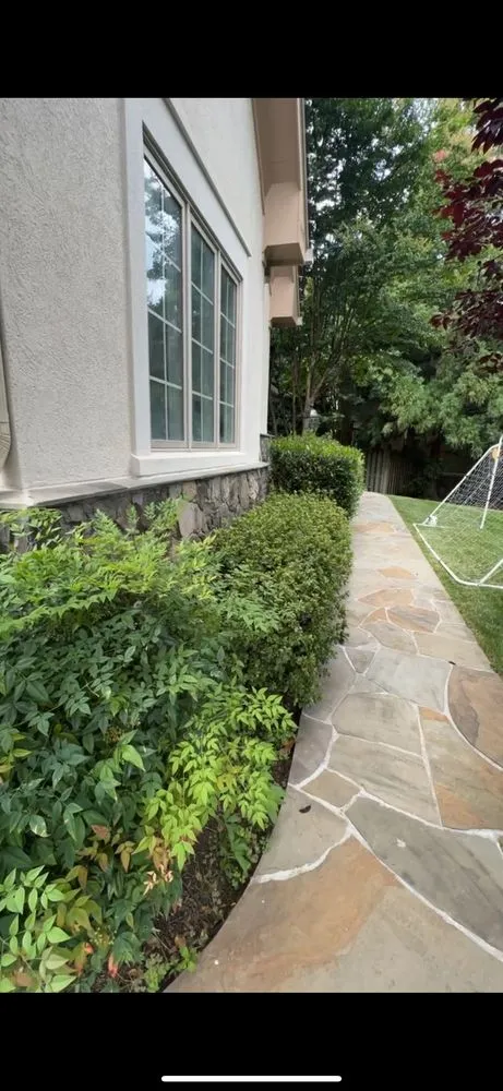 Local yard maintenance near you in Hyattsville, MD by SemoPro