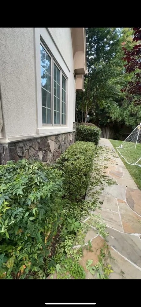 Reliable lawn mowing service for outdoor upgrades across Hyattsville, MD - SemoPro