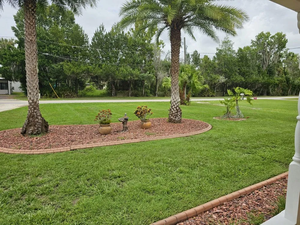 Professional yard maintenance for residential properties across Lecanto, FL - Semper Cuts Lawn Care Yard Recovery