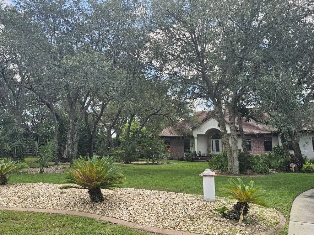 Affordable landscaping services experts serving Lecanto, FL - Semper Cuts Lawn Care Yard Recovery