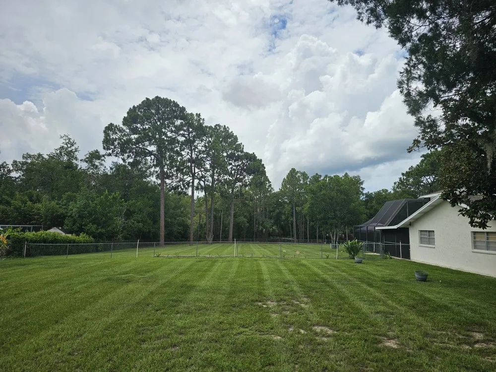 Affordable landscape design experts serving Lecanto, FL - Semper Cuts Lawn Care Yard Recovery