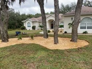 Affordable landscape design in Lecanto, FL - Semper Cuts Lawn Care Yard Recovery