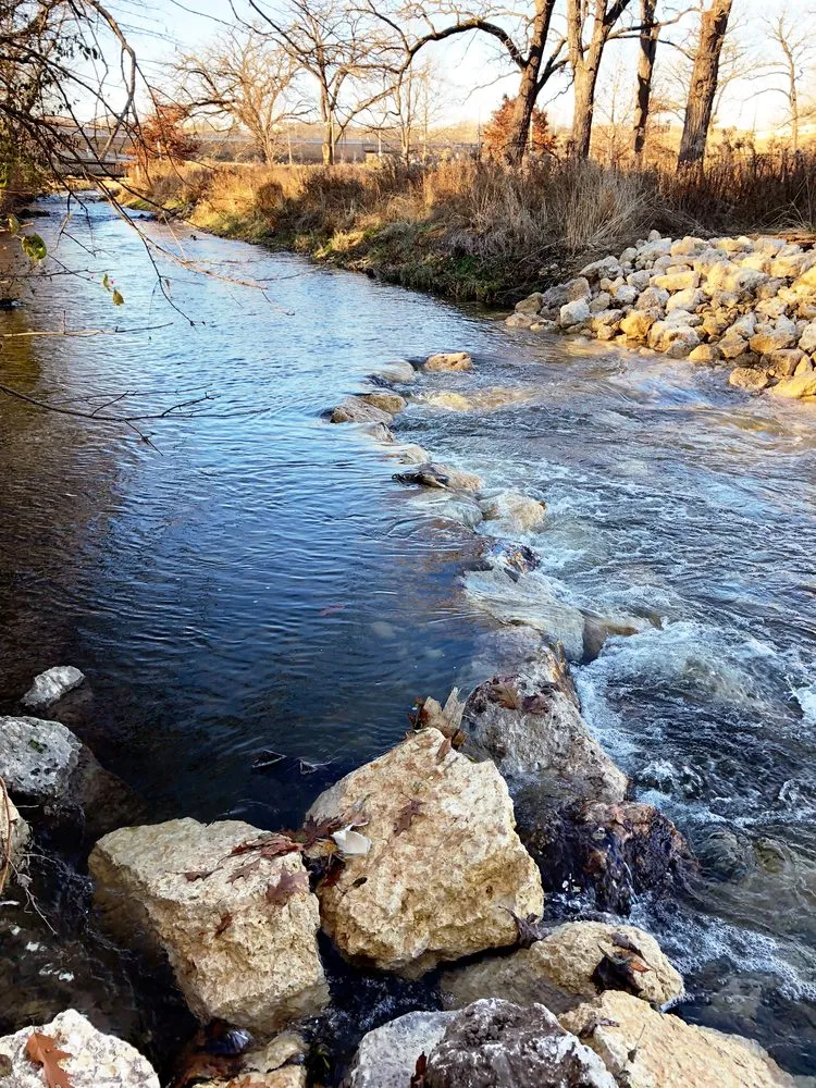 Trusted yard cleanup service experts serving Yorkville, IL - Semper Fi Land Service