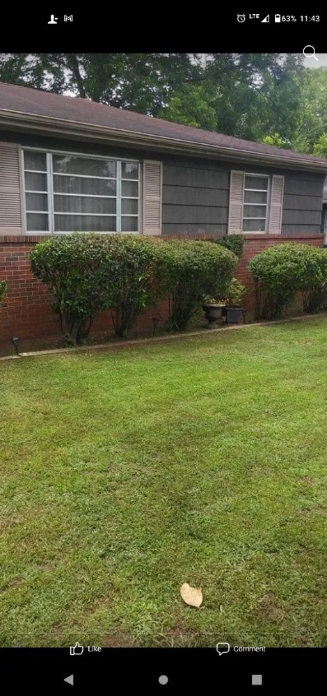 Reliable yard cleanup service for beautiful yards in Birmingham, AL by Semper Fi Lawn Care