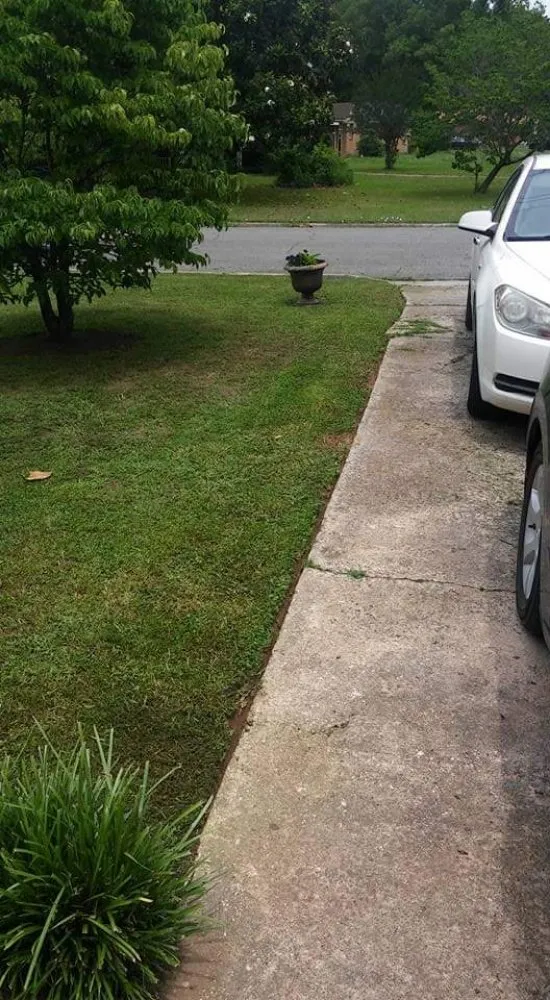 Expert landscaping services in Birmingham, AL by Semper Fi Lawn Care