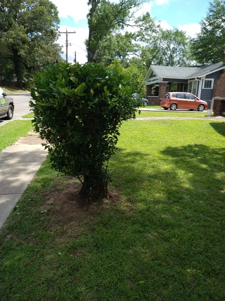 Expert lawn mowing service in Birmingham, AL by Semper Fi Lawn Care