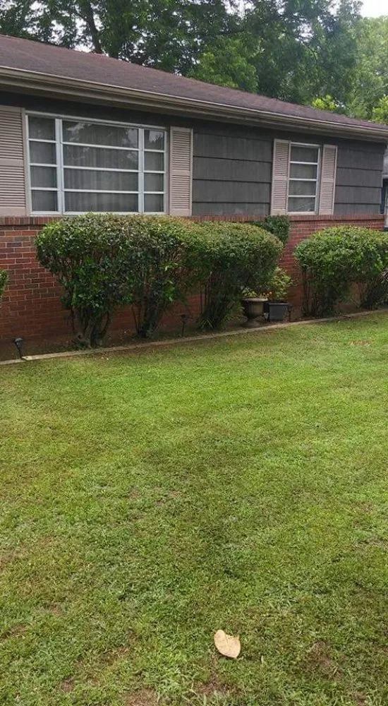 Trusted landscape installation near you in Birmingham, AL by Semper Fi Lawn Care