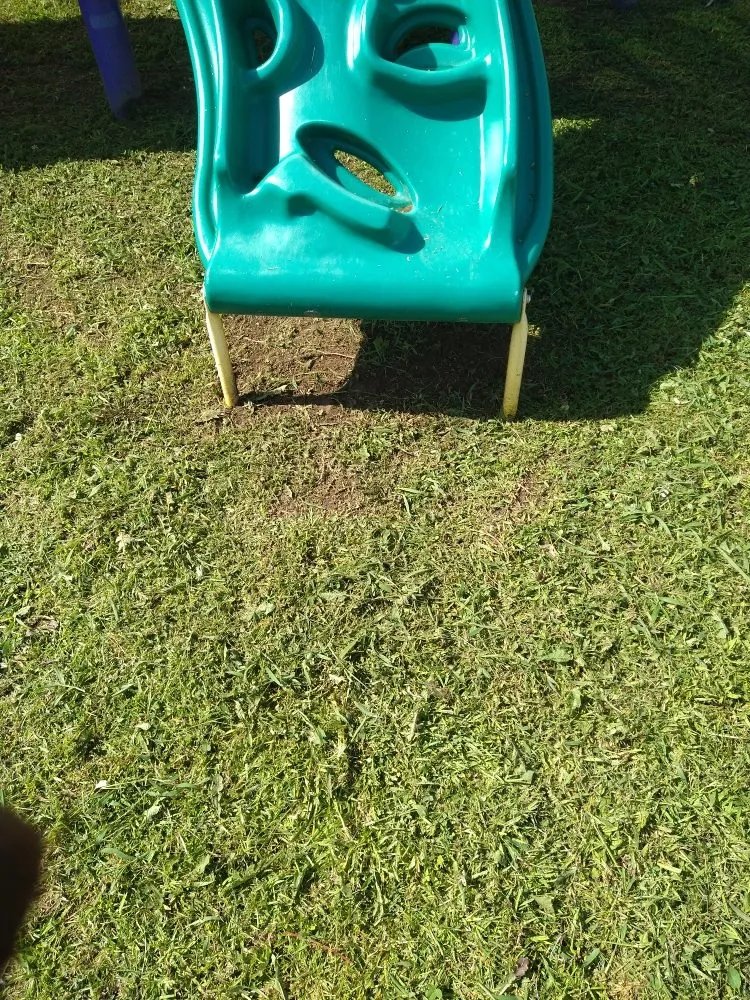 Trusted yard maintenance experts serving Birmingham, AL - Semper Fi Lawn Care