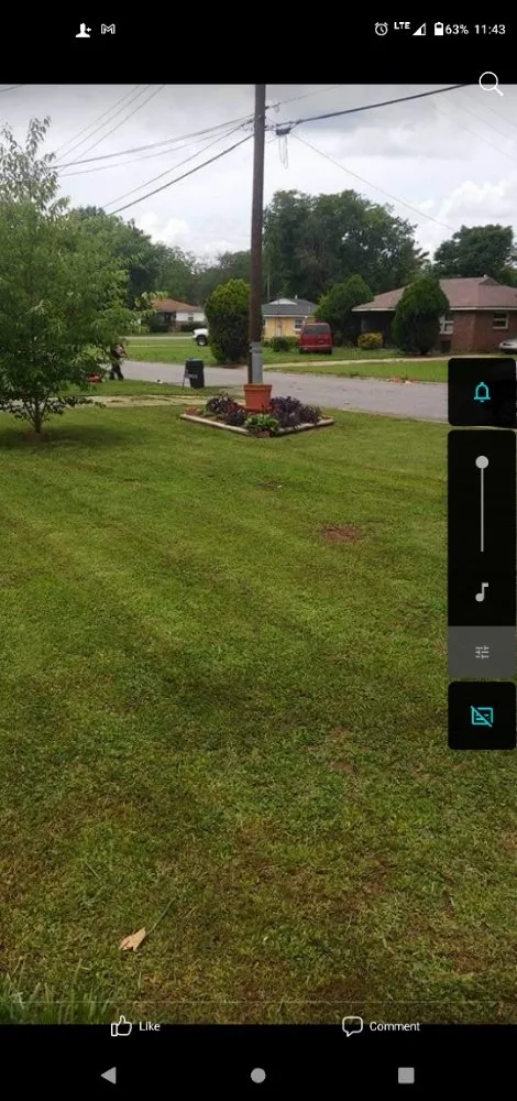 Top-rated lawn care service in Birmingham, AL by Semper Fi Lawn Care