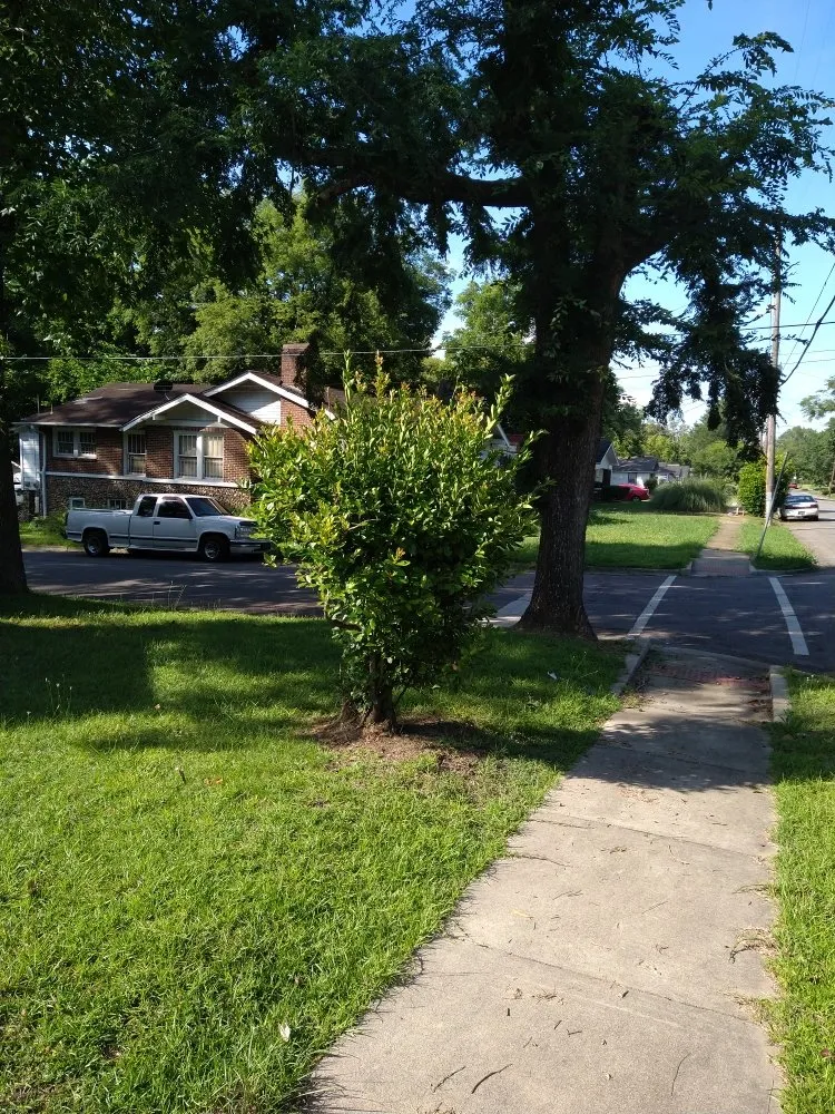 Affordable lawn mowing service near you in Birmingham, AL by Semper Fi Lawn Care