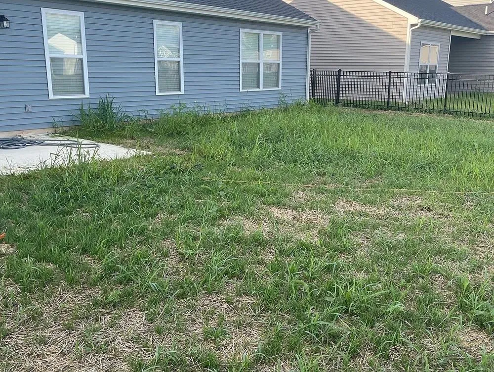 Top-rated lawn care service experts serving Columbia City, IN - Semper Fi Lawn Care