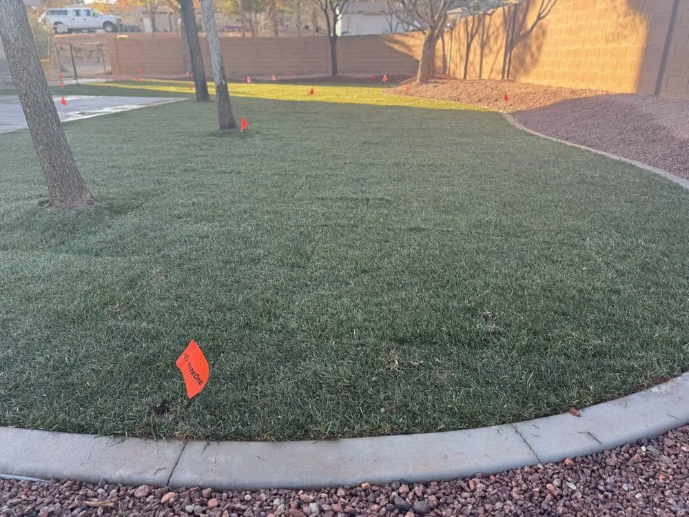Reliable yard cleanup service for outdoor upgrades in St. George, UT by Semper Fi Tree Expert