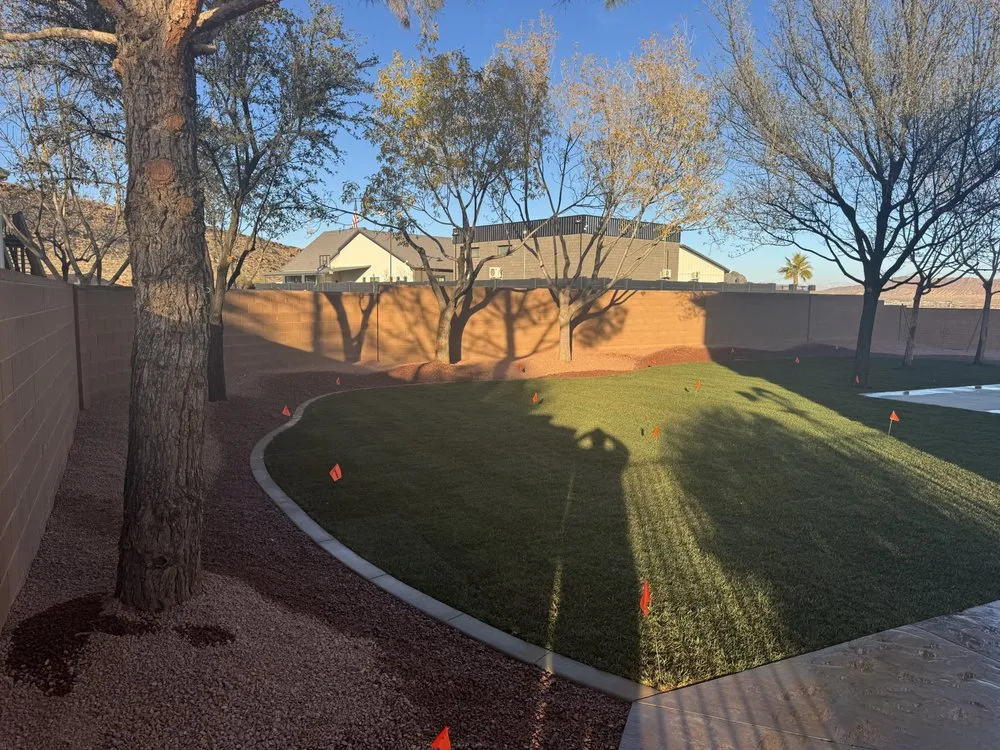 Local lawn care service experts serving St. George, UT - Semper Fi Tree Expert
