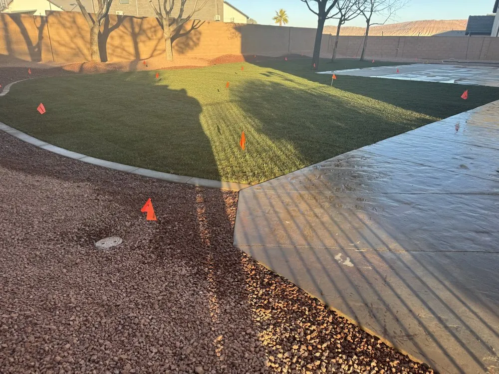 Local yard cleanup service experts serving St. George, UT - Semper Fi Tree Expert