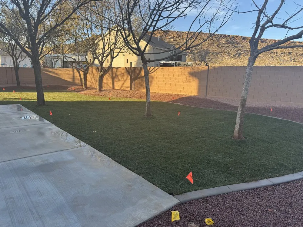 Trusted lawn care service experts serving St. George, UT - Semper Fi Tree Expert