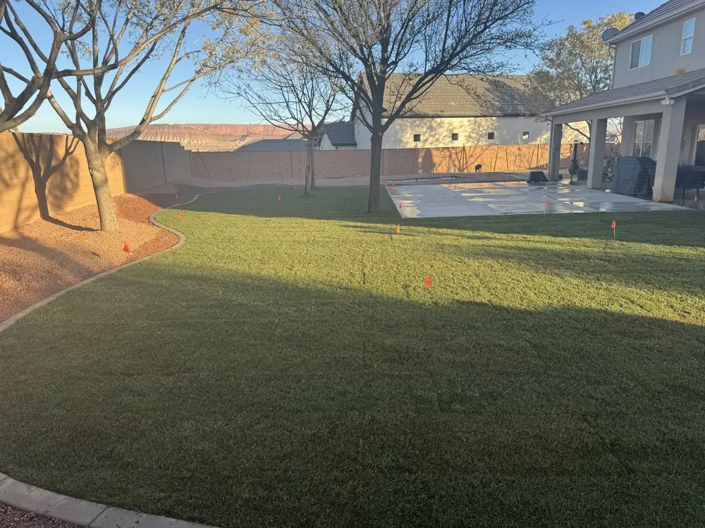 Professional garden landscaping in St. George, UT by Semper Fi Tree Expert