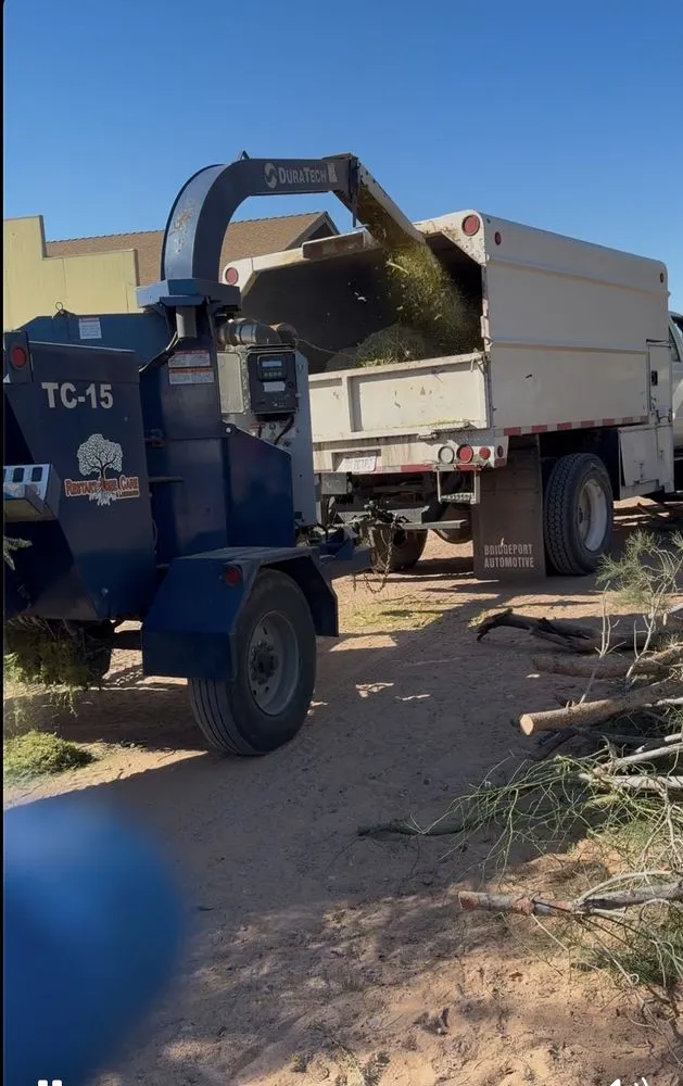 Expert garden landscaping experts serving St. George, UT - Semper Fi Tree Expert